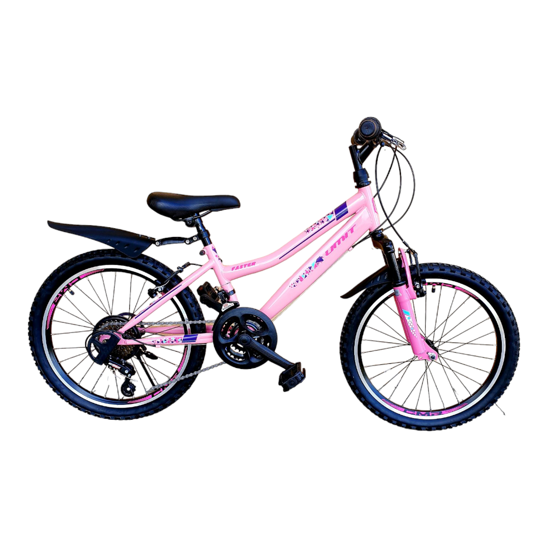 Vaikiškas dviratis "Umit" pink