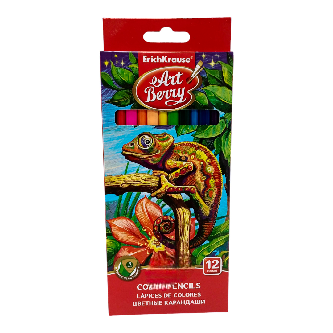 Spalvotų pieštukų rinkinys "Art Berry"