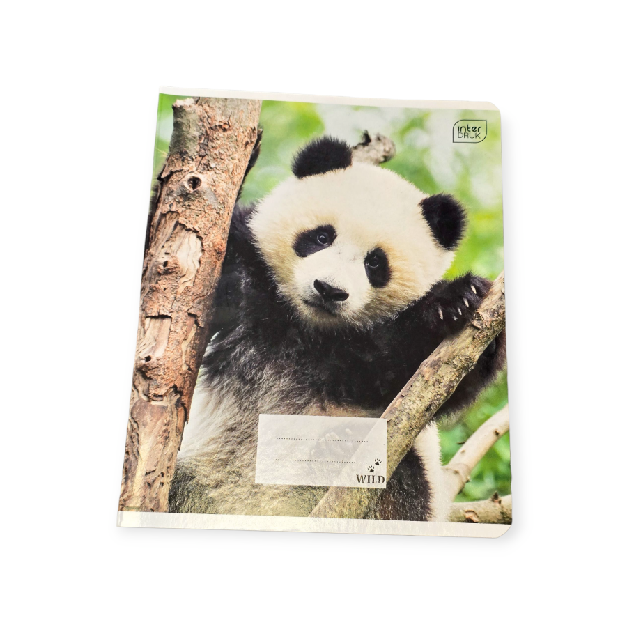 Sąsiuvinis 12 lapų langeliais "Panda"