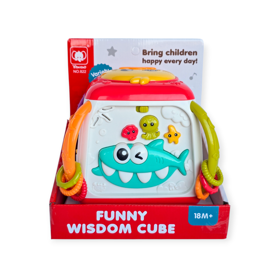 Lavinamasis kubas "Ančiukas"