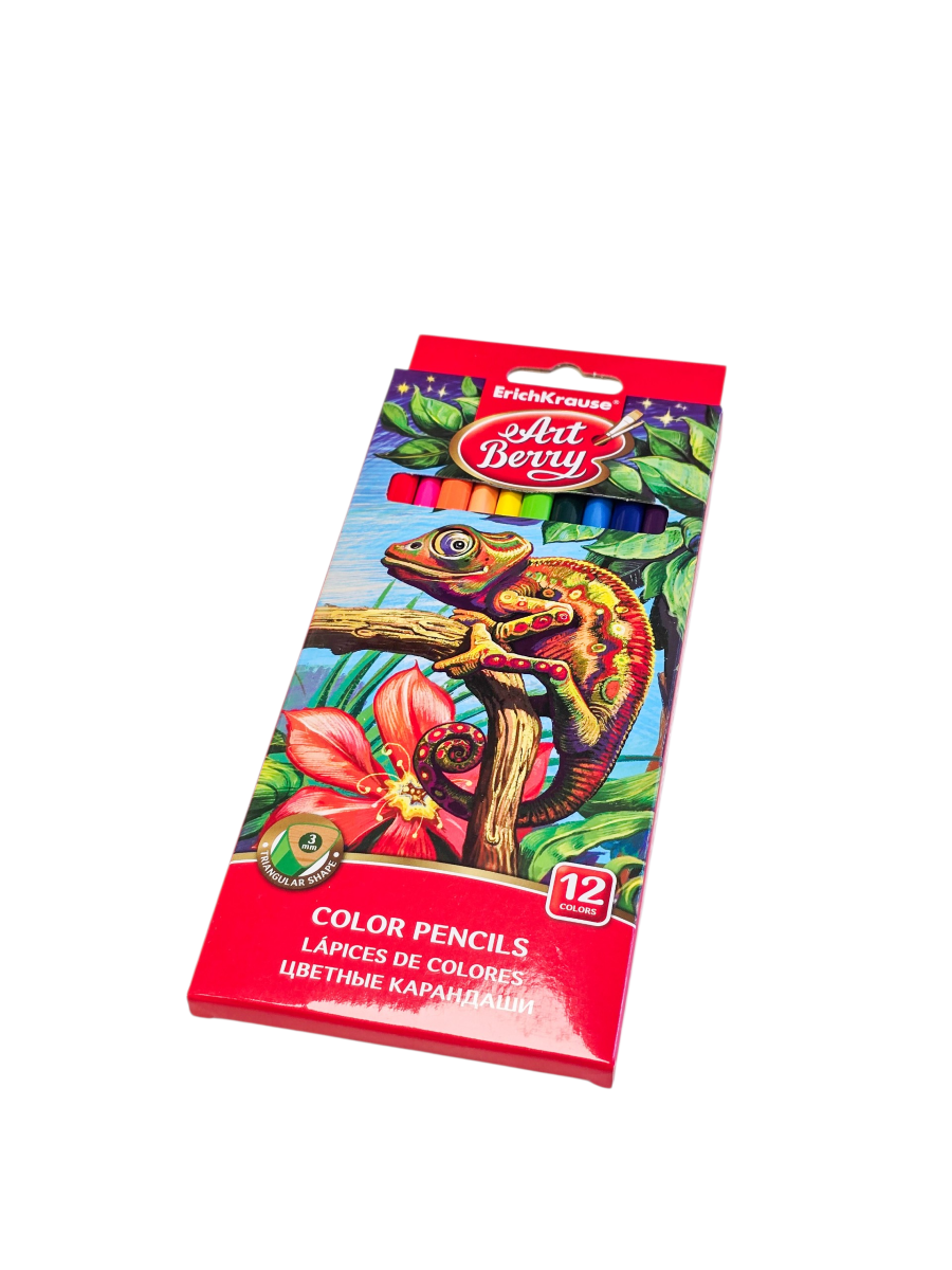 Spalvotų pieštukų rinkinys "Art Berry"